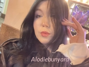 Alodiebunyard