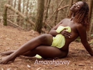 Amaraharvey