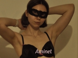 Aminet