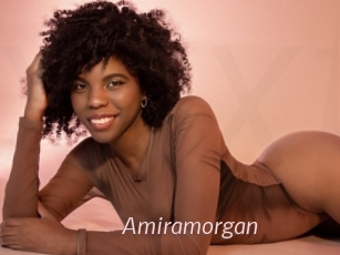 Amiramorgan