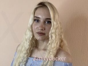 Amitybucker