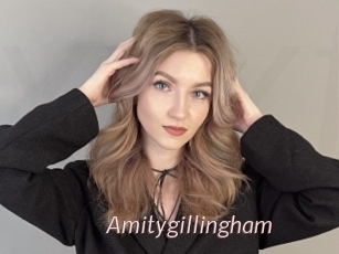Amitygillingham