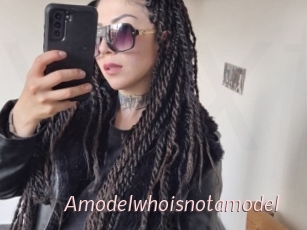 Amodelwhoisnotamodel