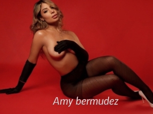 Amy_bermudez