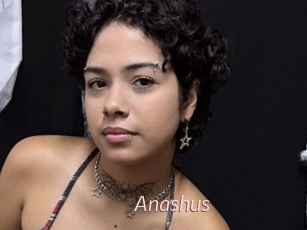 Anashus