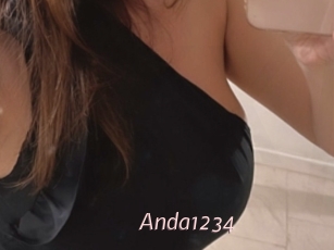 Anda1234