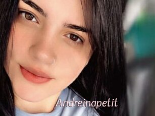 Andreinapetit