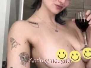 Androgynaughty