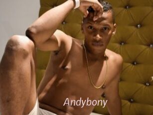 Andybony