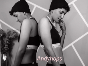 Andyhops