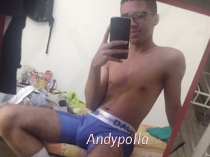 Andypolla