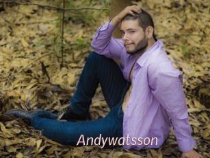 Andywatsson