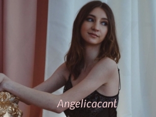 Angelicacant