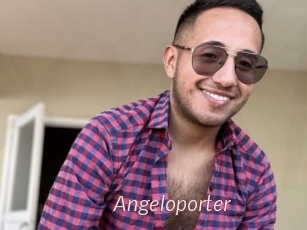 Angeloporter