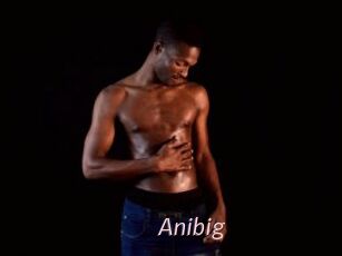 Anibig