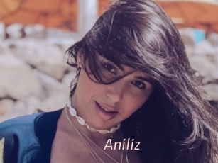 Aniliz