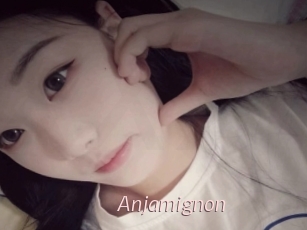 Anjamignon