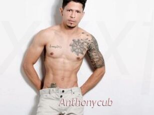Anthonycub