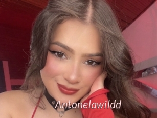 Antonelawildd