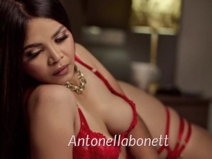 Antonellabonett