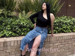 Antonellachan