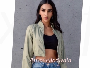 Antonelladivala