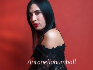 Antonellahumbolt
