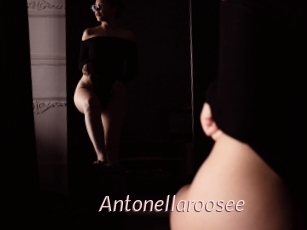 Antonellaroosee