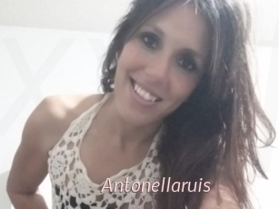 Antonellaruis