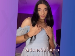 antonellatobon xxx Free Sites