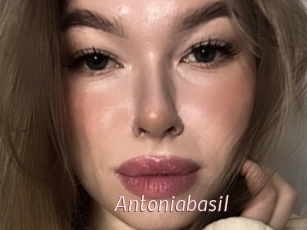 Antoniabasil