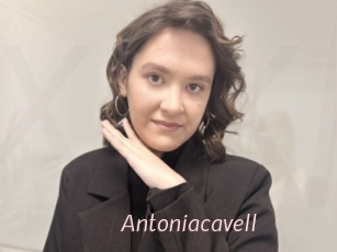 Antoniacavell