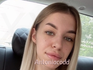 Antoniacodd