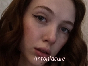 Antoniacure