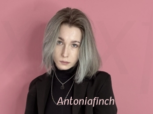 Antoniafinch