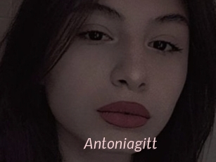 Antoniagitt