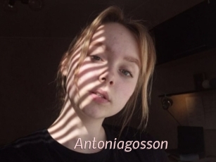 Antoniagosson