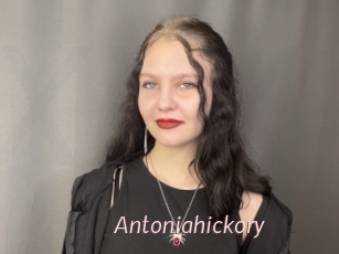 Antoniahickory