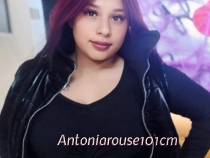 Antoniarouse101cm