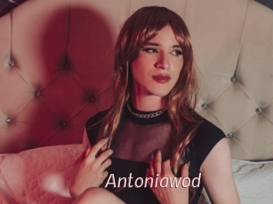 Antoniawod