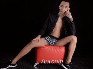 Antonip