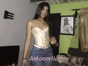 Antoonellagrey