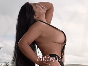 Antovella