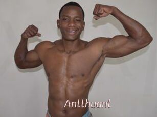 Antthuant