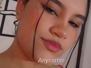 Anycarter