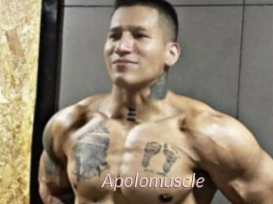 Apolomuscle