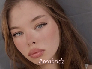 Areabridz
