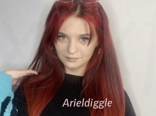 Arieldiggle