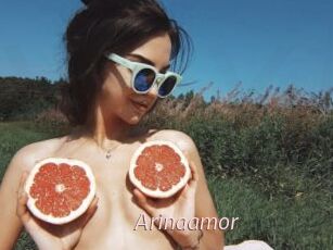 Arinaamor