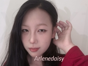 Arlenedaisy